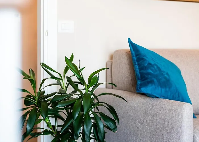 Ma Maison Almerici *